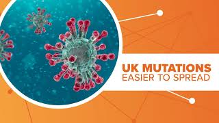 Scientists believe UK variant developed in one patient and was infected for  so long, virus mutated