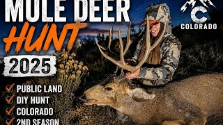 My Wife’s DIY Colorado Mule Deer Hunt | Public Land 2nd Season Success Mistakes To Avoid During Colorado Deer Hunting Seasons