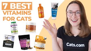 7 Best Vitamins for Cats (We Tried Them All!)