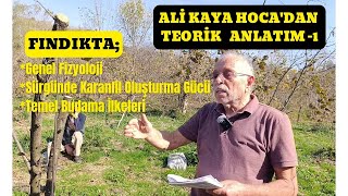 Ali̇ Kaya Hocaya Ziyaret.. Fındıkta Genel Fizyoloji Ve Budama İlkeleri Teori̇k Anlatım -1