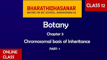 Botany 12th std  Chapter 3 Chromosomal basis of Inheritance ( Part - 1 )