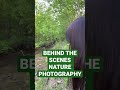 Nature photography #shorts #nature #naturephotography #naturelovers