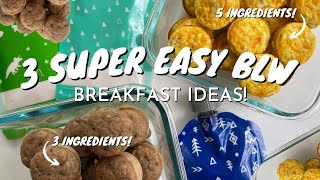 3 EASY BABY LED WEANING BREAKFAST IDEAS | veggie egg muffins, baby banana muffins, overnight oats screenshot 5