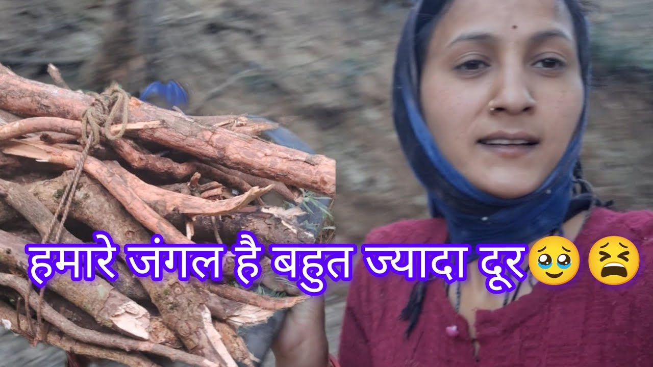 हमको जाना पड़ता है लकड़ी के लिए इतना दूर😫 !!  जंगल में मस्ती 🤣🤣!! मेरी भारी 😘@Rohitavlog 