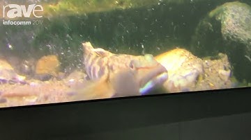 InfoComm 2017: Grandview Screen Shows Off DYNAMIQUE Series Screen