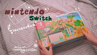 nintendo switch: распаковка, плюсы и минусы ✨