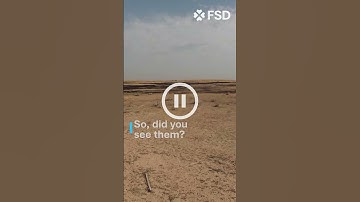 Drones to help survey minefields