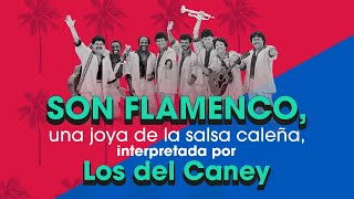 Miniatura de vídeo de "SON FLAMENCO   Los Del Caney"