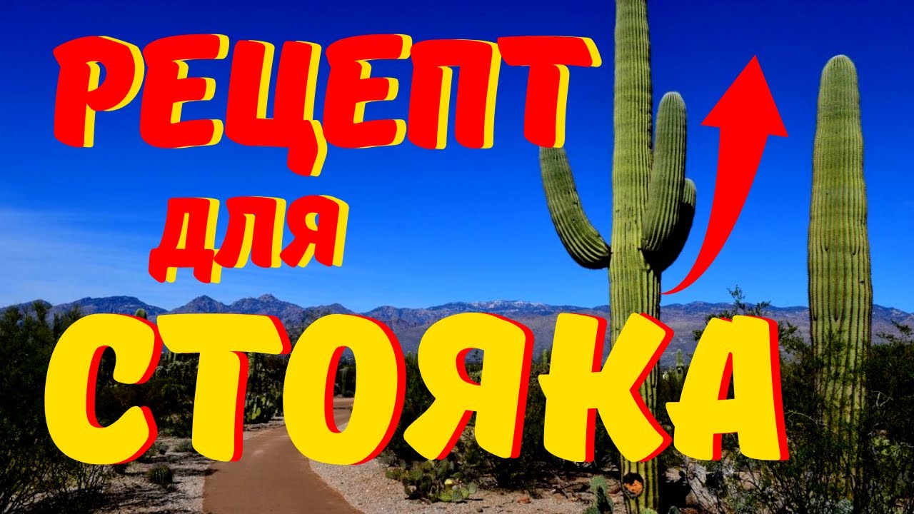 КАК ВОССТАНОВИТЬ ЭРЕКЦИЮ за 14 ДНЕЙ. Усиление Потенции. Эрекция. Как ...