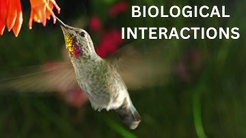 Intro to Biological Interactions for Middle School and older. NGSS  MS-LS2-1, MS-LS2-2, MS-LS1-4.