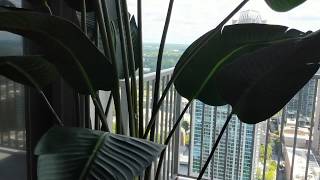 The Sky Lounge at The VUE Charlotte