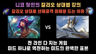 이거 보시고 티어 안 오르면 책임 지겠습니다 절대 후회 안 하실 겁니다. [니코 VS 갈리오]