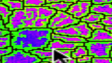 Simulation of a virtual cellular tissue