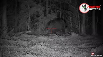 Predator Tactics Coyote Reaper XXL Mailman