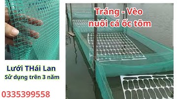 Tráng - Vèo Lưới Thái lan nuôi ốc cá tôm ếch lươn,,, Nhận làm hàng đặt hủ mọi kích cỡ