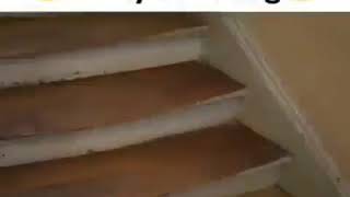 Funny Videos On Work Daily Funniest Video Ever . Whatsapp Status