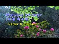 Sunny Mornings [화창한 아침] 음반 중 &amp; Morning Whisper (아침 속삭임) / Peder B. Helland