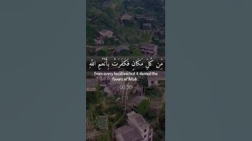 وضرب الله مثلا قرية كانت آمنة - القارئ علي جابر