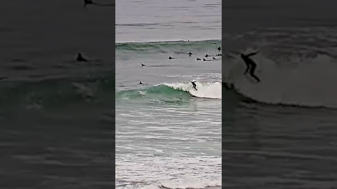 Clips