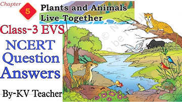 Question Answers ONLY/ Plants and Animals live together / Class-3 EVS TWAU New NCERT Chapter-4 KV