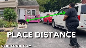 How To Teach Your Dog The Place Command From A Distance Using E-Collar!
