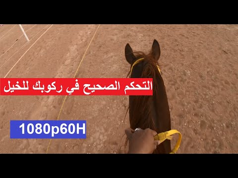 التحكم التام في أصبع شرح عن التحكم الصحيح في ركوبك للخيل واستجابة الحصان لك 