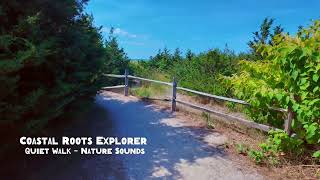 Where does this little path lead | Quiet Walk on Cape Cod