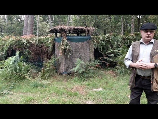 palombe.org - Opération camouflage palombière