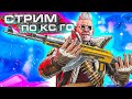 ОТ 1 СИЛЬВЕРА ДО ГЛОБАЛА ЗА ГОД! СТРИМ КСГО! СТРИМ ПО КС ГО! CS:GO ММ! STREAM CSGO! CS GO ПАТРУЛЬ