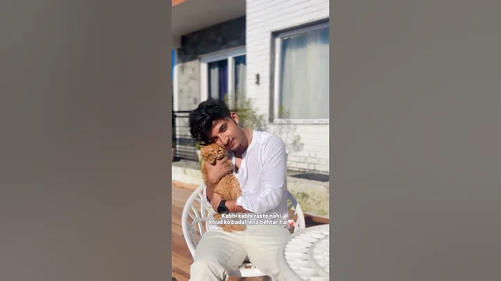 Video 11426711: persiancat persians, persiancat cat love