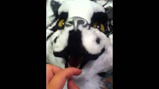 Monoyashas Tattoo Entry And Cat Mask Explanation