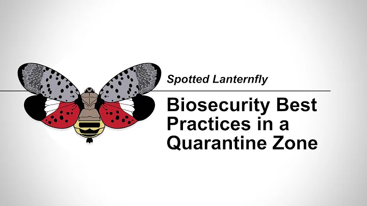 SLF States: 3-2 Biosecurity Best Practices in a Quarantine Zone
