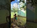 Limpando o jardim da casa antiga reforma #casadevó #reformadecasa #obra #vintage