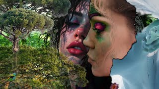 Aries or Whats Going On In Their Head Right Now 