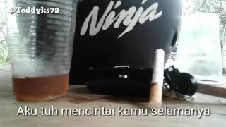 TAPIKAN COCOTE TOK😂😂