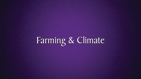 Purdys Chocolatier - Farming & Climate in Ghana