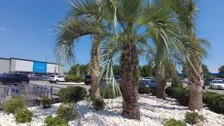 Sam's Club (4K) - Myrtle Beach, South Carolina