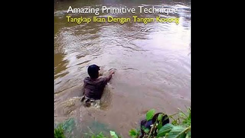 Amazing Primitive Technique Part 5 | Tangkap Ikan Dengan Tangan Kosong  #short
