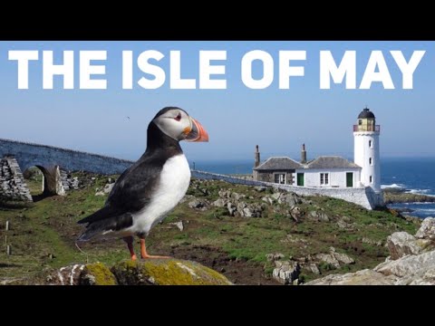 Videó: Wre is the isle of May?