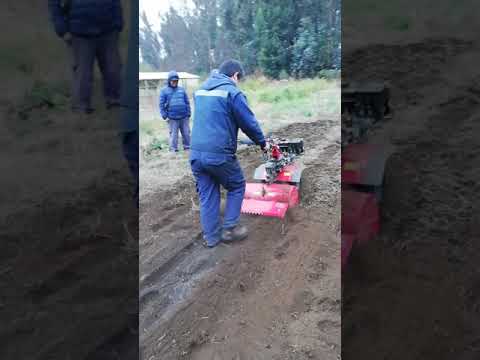 Vídeo: Conreadors Manuals (49 Fotos): Trieu Un Mini Cultivador De Gasolina Per A Una Residència D'estiu, Així Com Un Jardí 