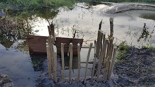 Boy And Small Boy Make A Fish Trap -How To Make Fish To Catch Big Fish Trap With Small Tree