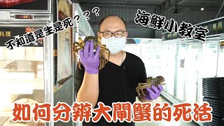[盅龐水產] 教你怎麼看大閘蟹的死活！！！ 