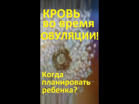 🔴Мазня (кровь) во время ОВУЛЯЦИИ 💥– нормально или нет⁉️ #Shorts