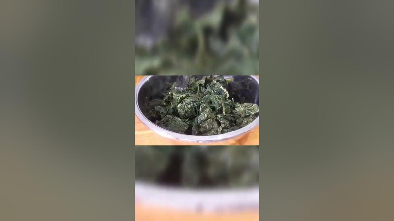 Gulai daun singkong #olahandaunsingkong #shorts Gulai daun singkong #olahandaunsingkong #shorts