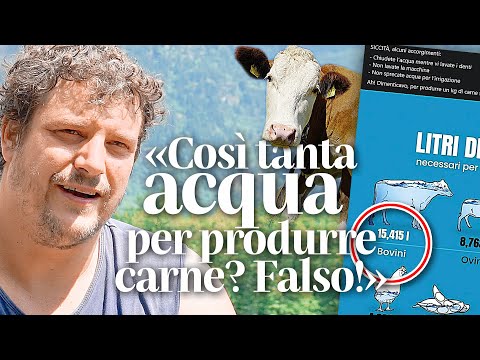 ?? «Così tanta acqua per produrre un po' di carne? No, è falso» ??