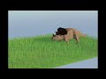 Low Poly Animation