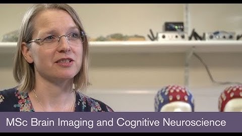 MSc Brain Imaging and Cognitive Neuroscience