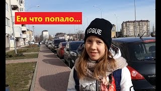 Бездомные собаки в Анапе ! Настя на вебинаре ! Обедаем! Бездомные собаки в Анапе ! Настя на вебинаре ! Обедаем!