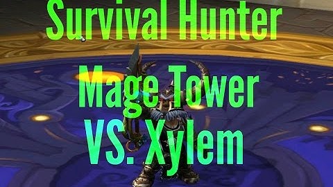 Survival Hunter. Mage Tower Challenge: XYLEM. iLvL 894