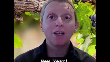 New AI-Driven Quality Control Features Unveiled at Fruit Logistica 2024